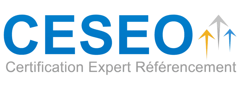 certification ceseo e1619015195412